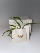 Load image into Gallery viewer, Ceramic Air Plant Holder