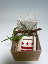 Load image into Gallery viewer, Mini Hanging Ceramic District Flag Planter
