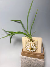 Load image into Gallery viewer, Ceramic Air Plant Holder

