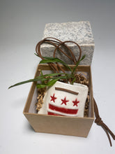 Load image into Gallery viewer, Mini Hanging Ceramic District Flag Planter
